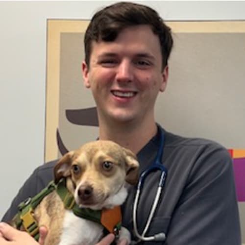 Dr. Campbell Ashley, Rainbow City Veterinarian #1