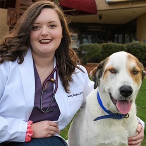 Dr. Courtney Baugher-Windham, Rainbow City Veterinarian #1